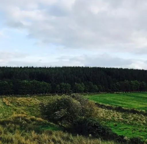 Apartmán Coby's Corner, Darney Rd *